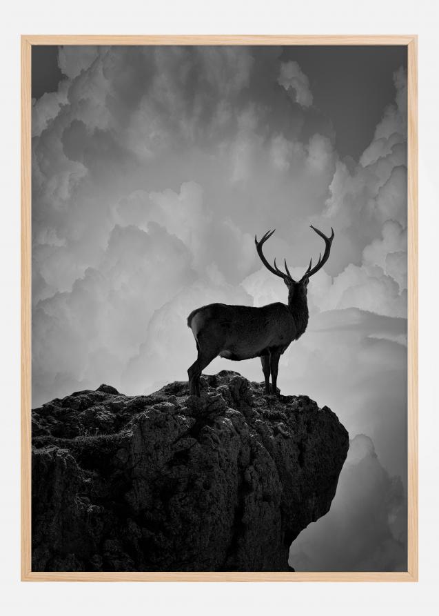 Black and White Deer Plakat