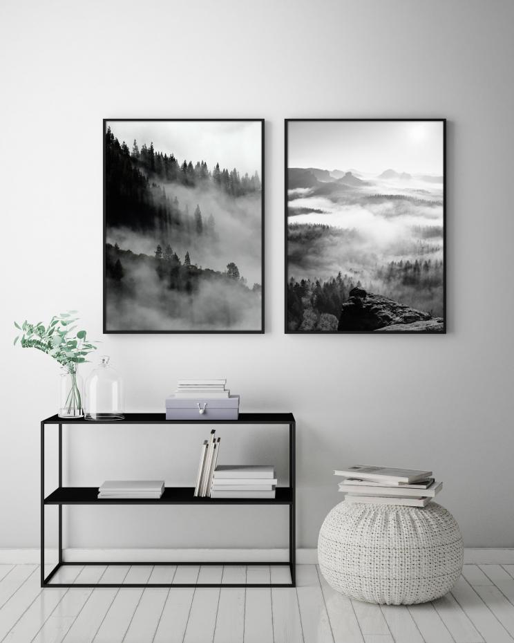 Foggy Forest Black & White II - 50x70 cm