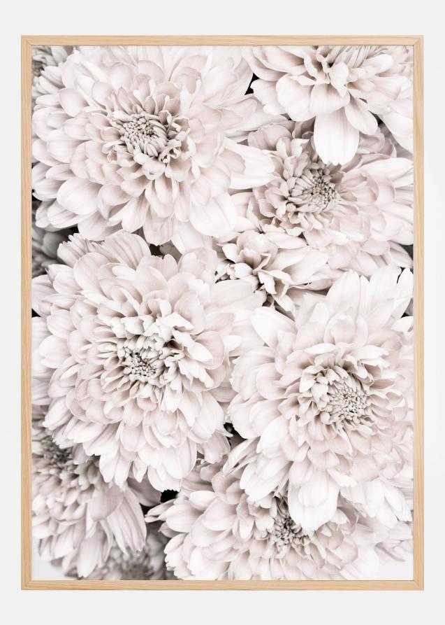 Chrysanthemum II Plakat