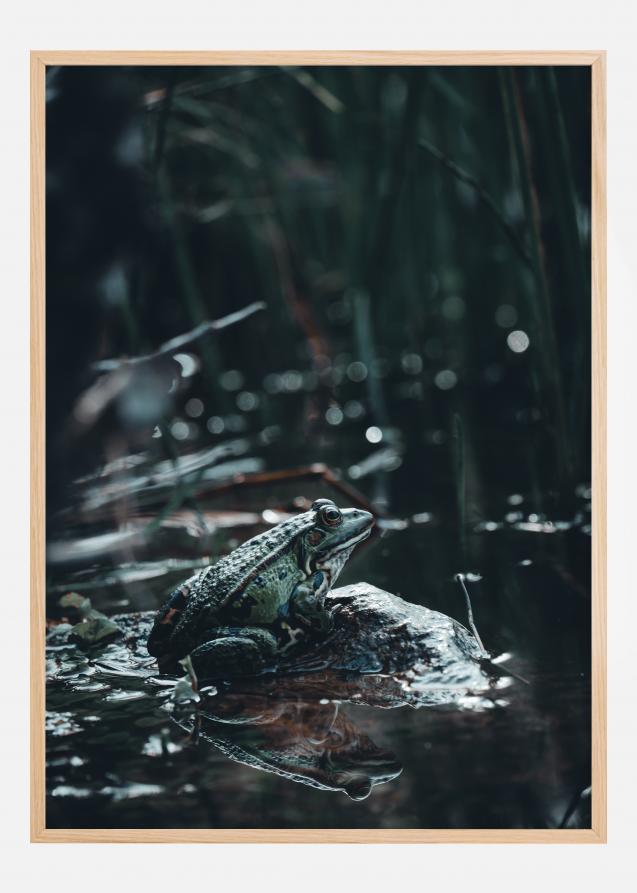 Frog Plakat