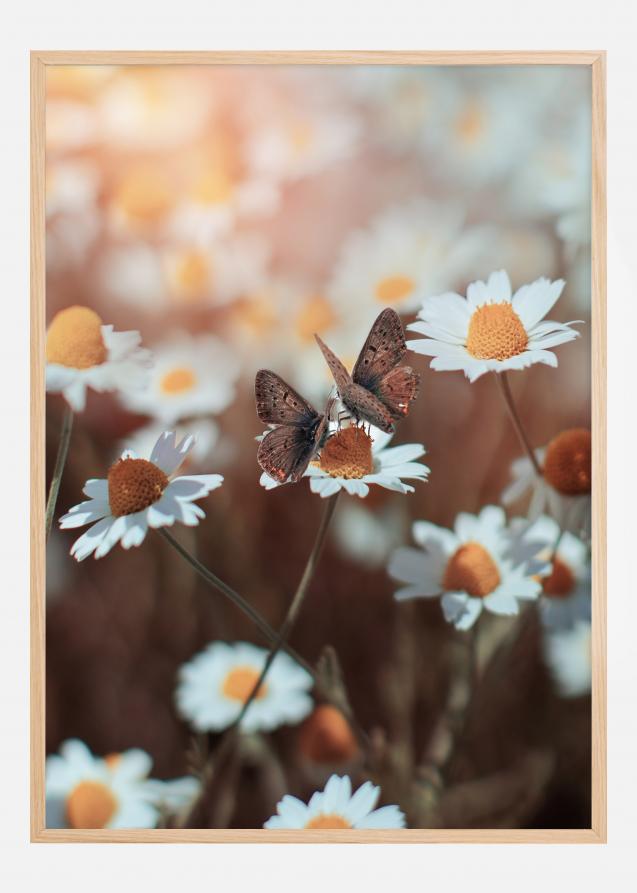 Two Butterflies Plakat