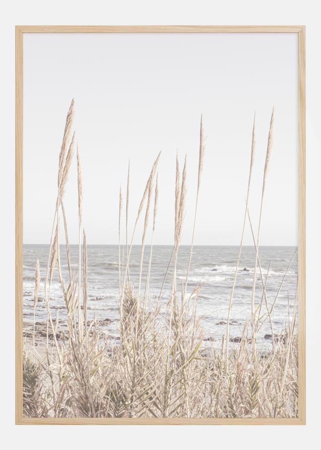 Beach Vass 001 Plakat