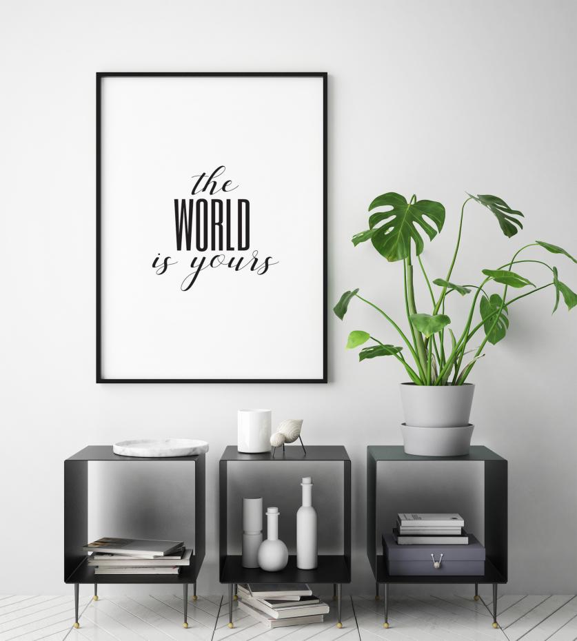The world is yours Plakat