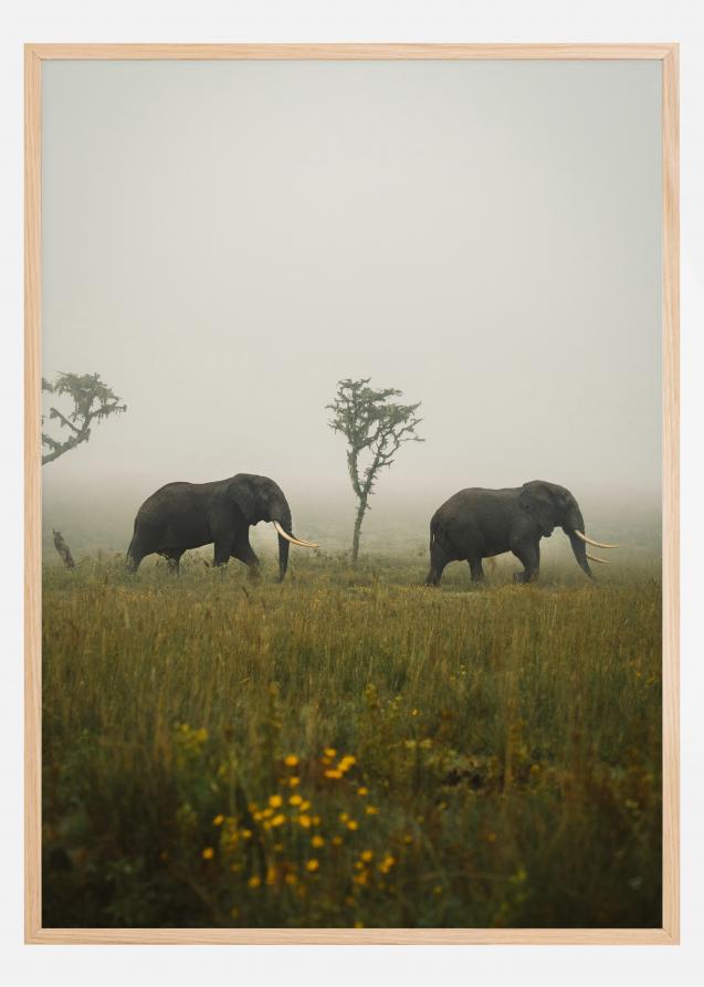 Elephant Walk Plakat