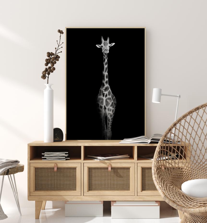 Stunning giraffe Plakat