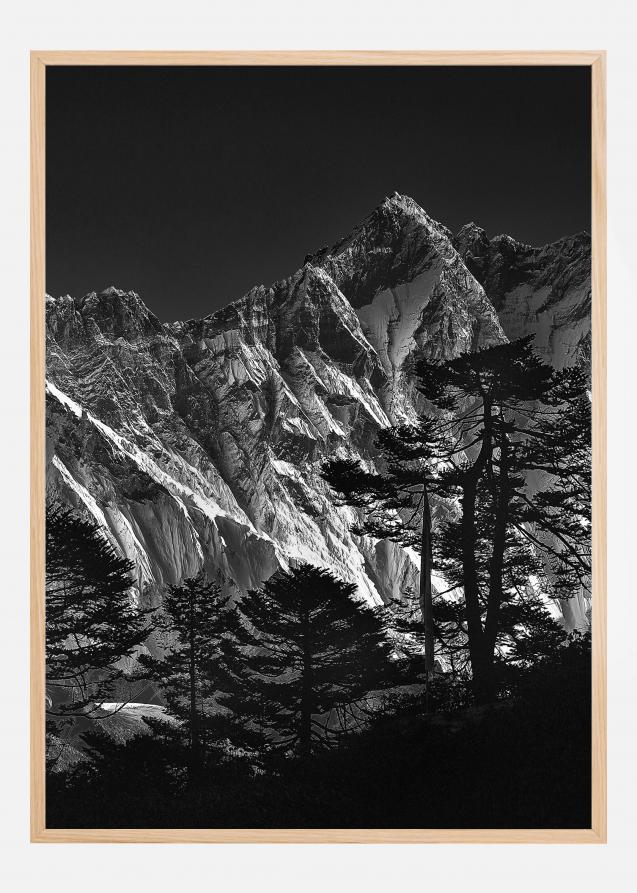 Everest view Plakat