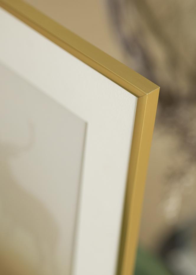 Ramme New Lifestyle Akrylglass Gull 60x80 cm