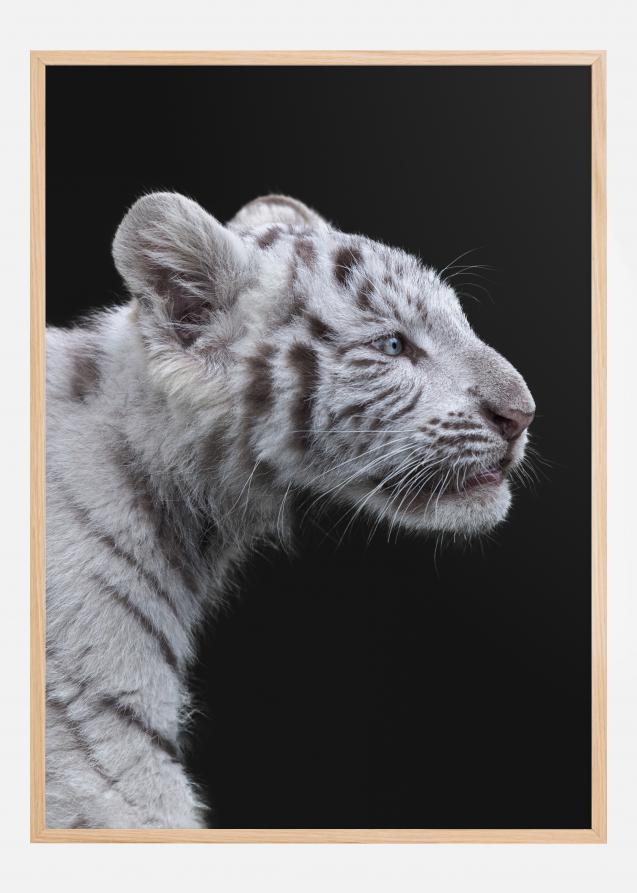 White tiger Plakat