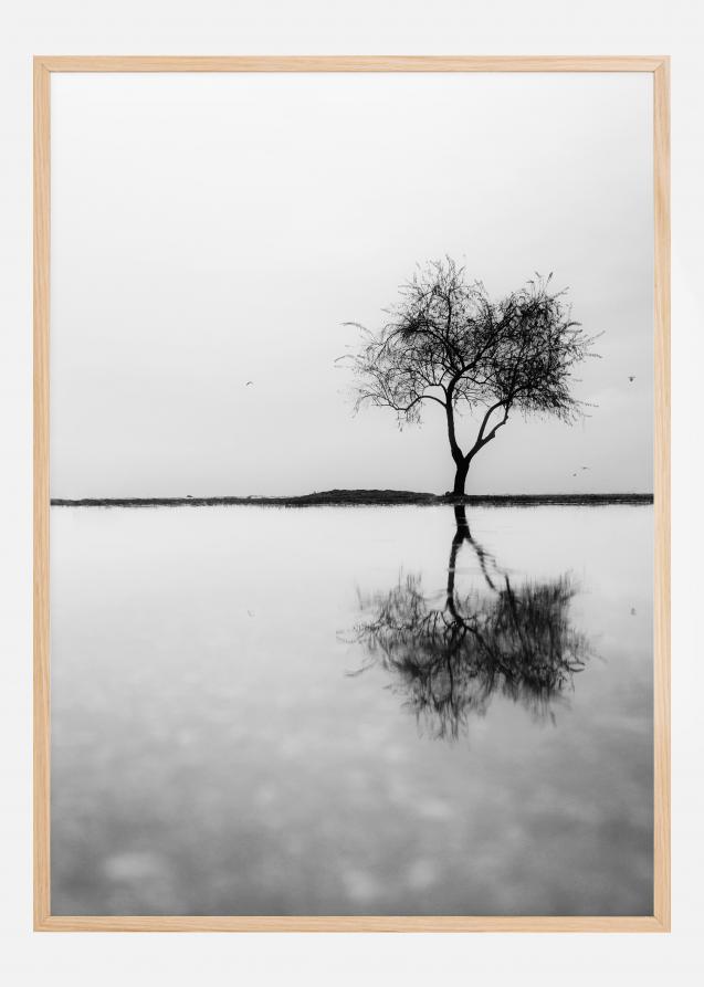 Lonely Tree Reflection Plakat