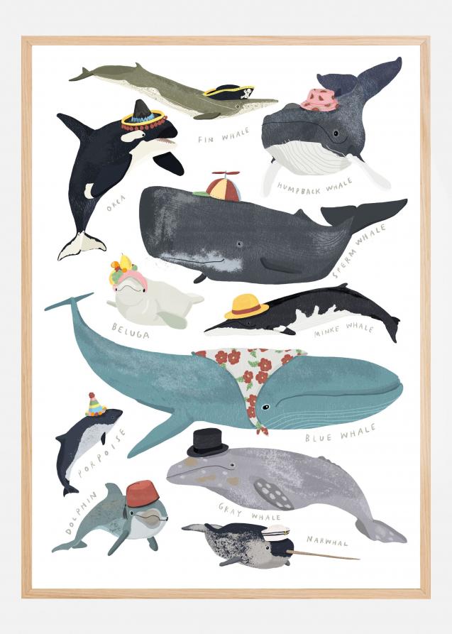 Whales In Hats Plakat