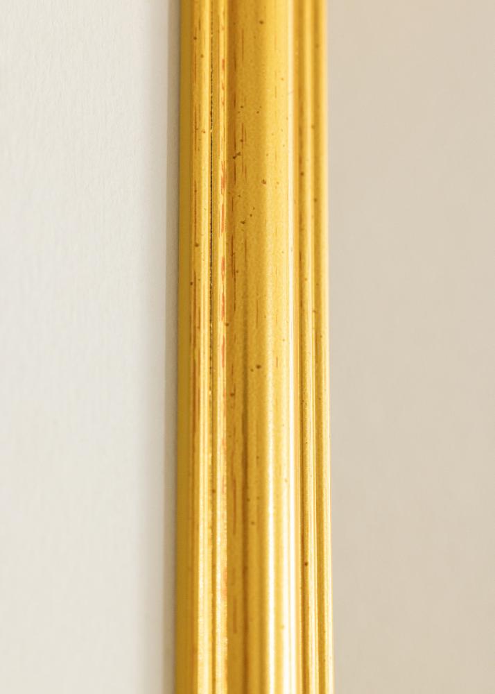 Ramme Frigg Gull 40x50 cm