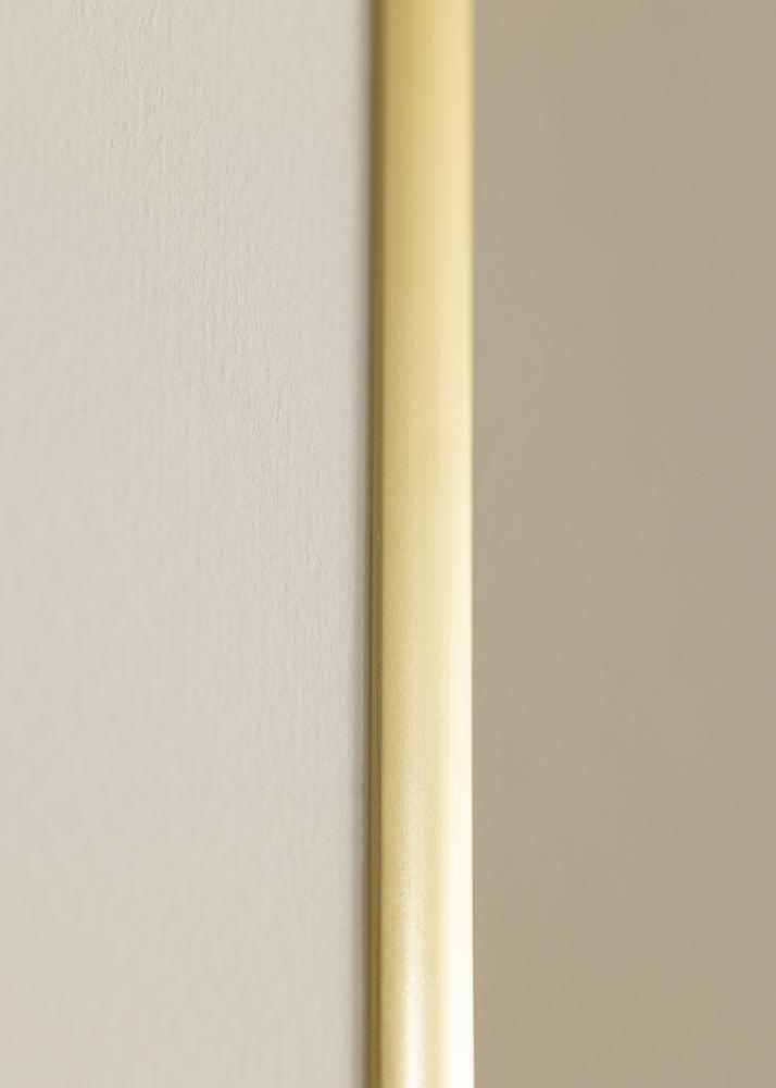 Ramme New Lifestyle Akrylglass Gull 45x60 cm