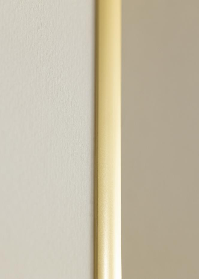 Ramme New Lifestyle Akrylglass Gull 59,4x84 cm (A1)