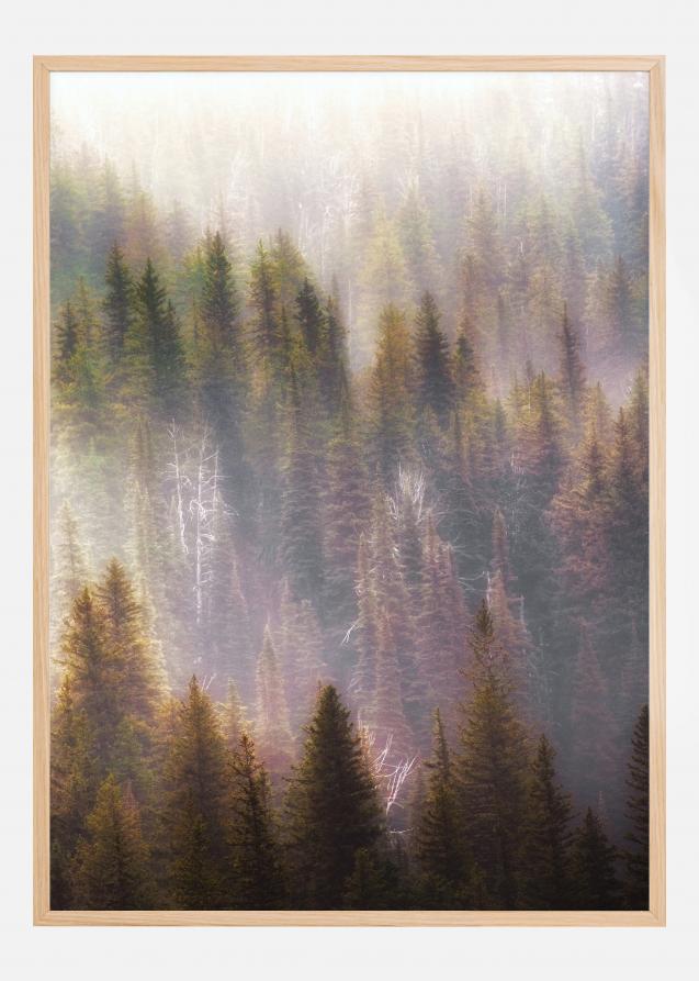 Misty Mood in the Forest Plakat
