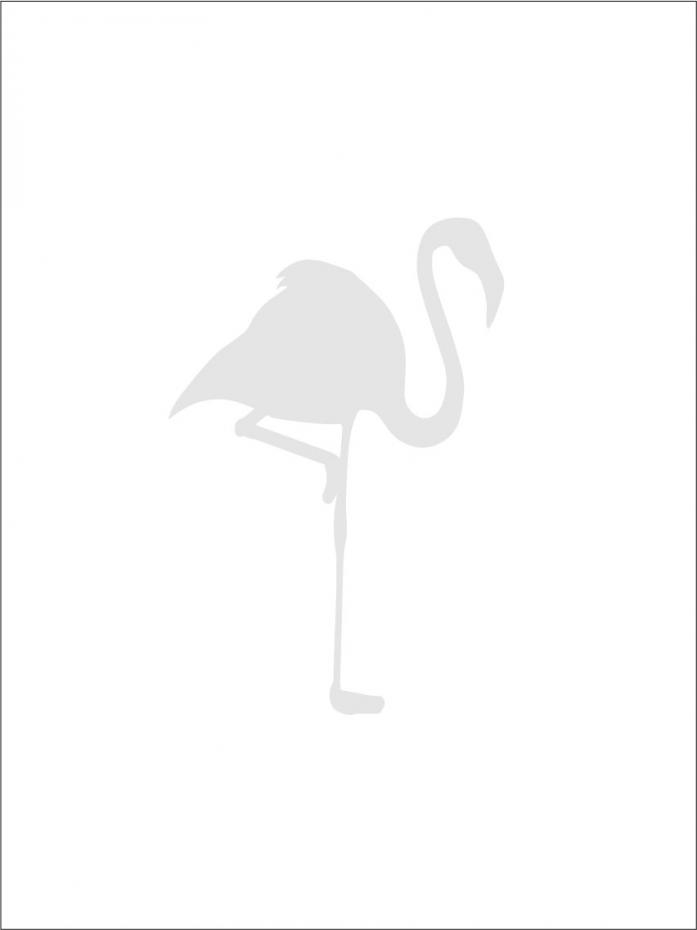 Flamingo - Gr