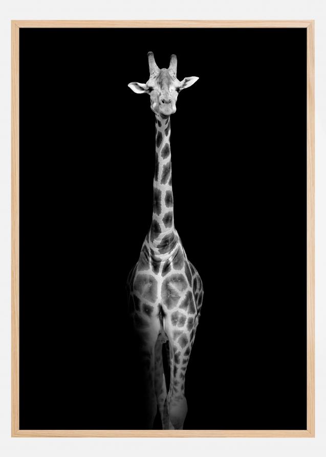 Stunning giraffe Plakat