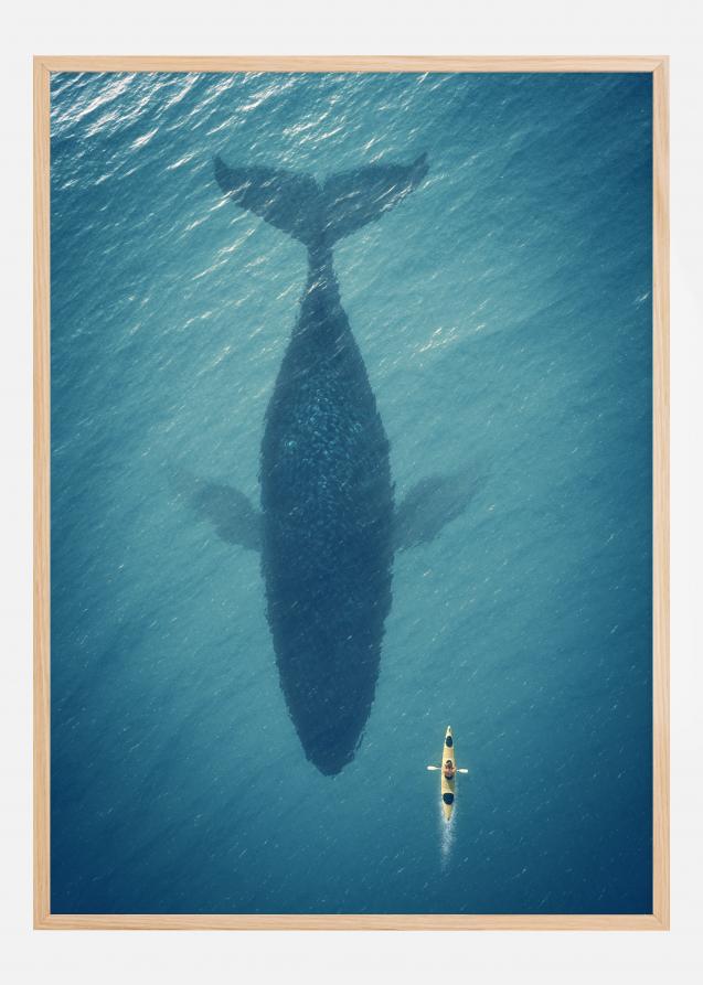 A Big Whale Plakat
