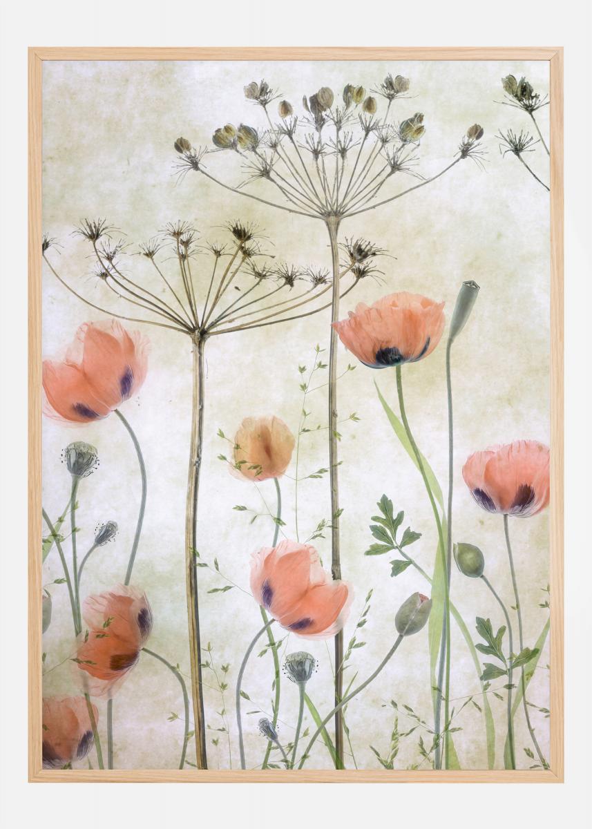 Poppy Meadow Plakat