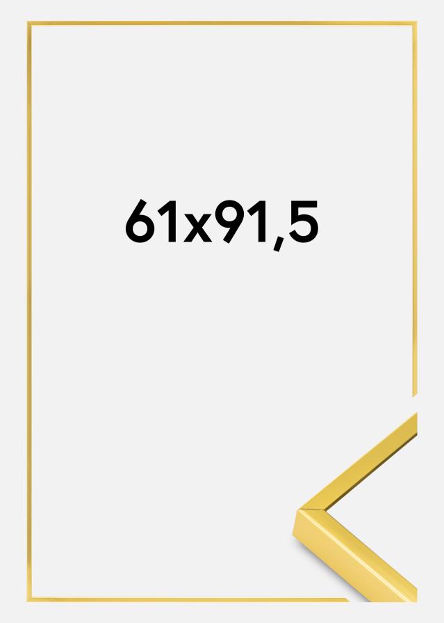 Aluminiumsramme Akrylglass Gull 61x91,5 cm
