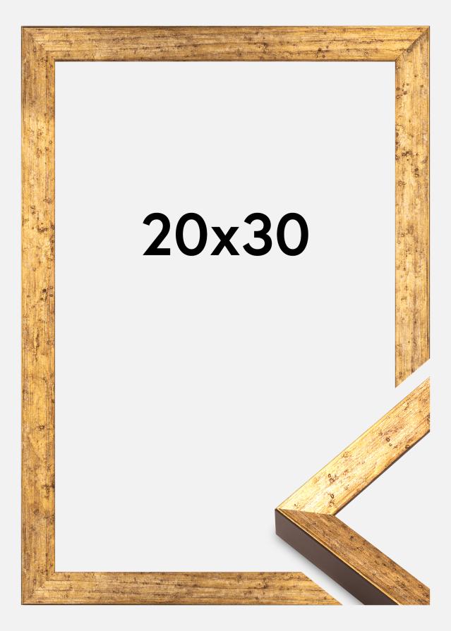 Ramme Dune Akrylglass Gull 20x30 cm