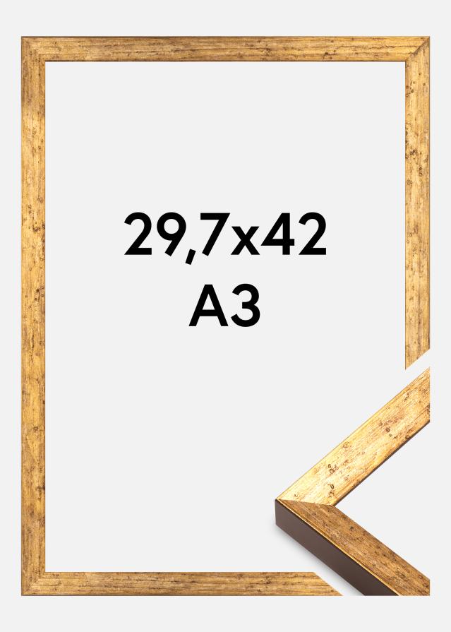 Ramme Dune Akrylglass Gull 29,7x42 cm (A3)