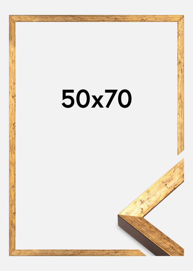 Ramme Dune Akrylglass Gull 50x70 cm