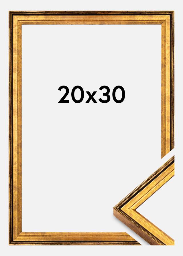 Ramme Ringa Akrylglass Gull 20x30 cm