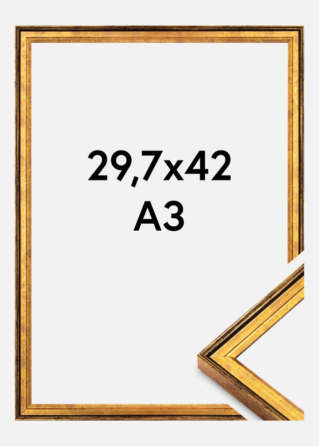 Ramme Ringa Akrylglass Gull 29,7x42 cm (A3)