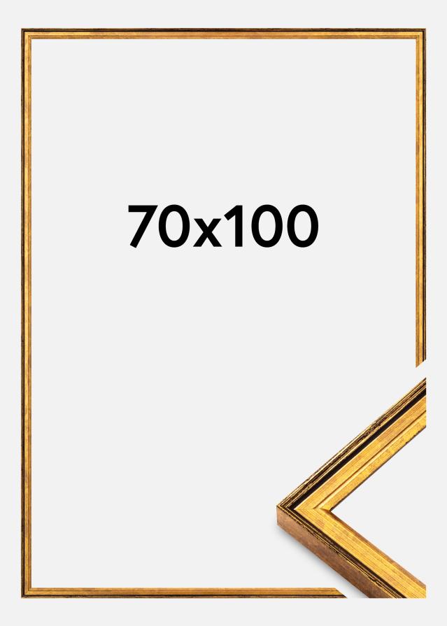 Ramme Ringa Akrylglass Gull 70x100 cm