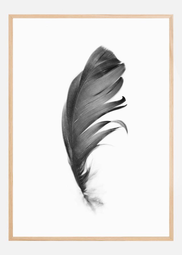 Feather Plakat