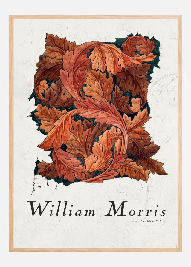 Acanthus Plakat