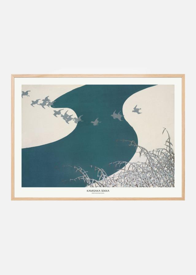 Birds From Momoyogusa Plakat