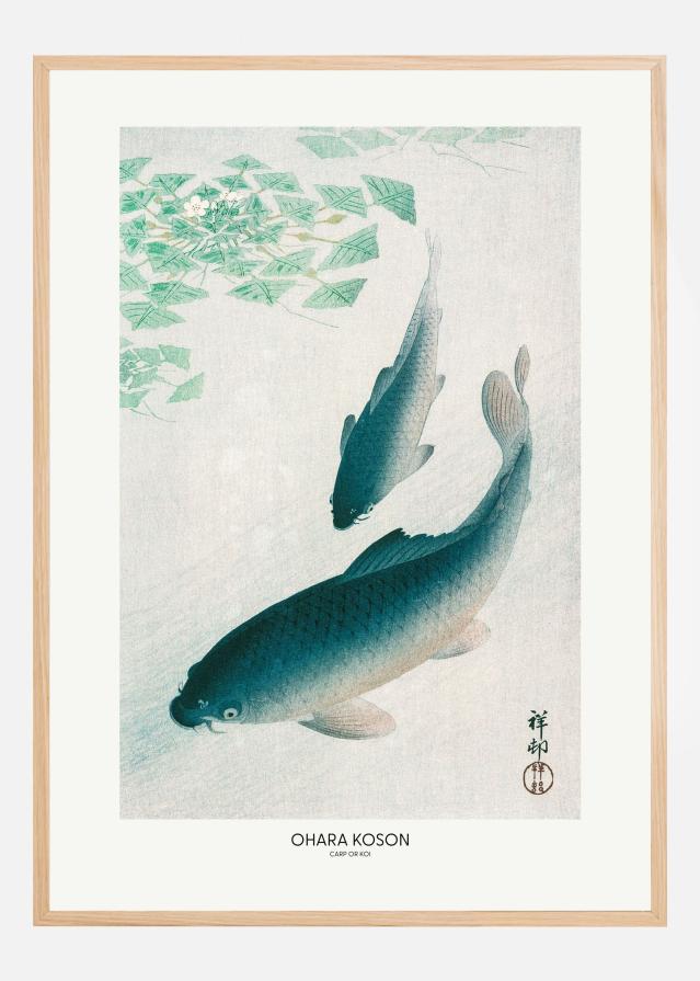 Carp Or Koi Plakat