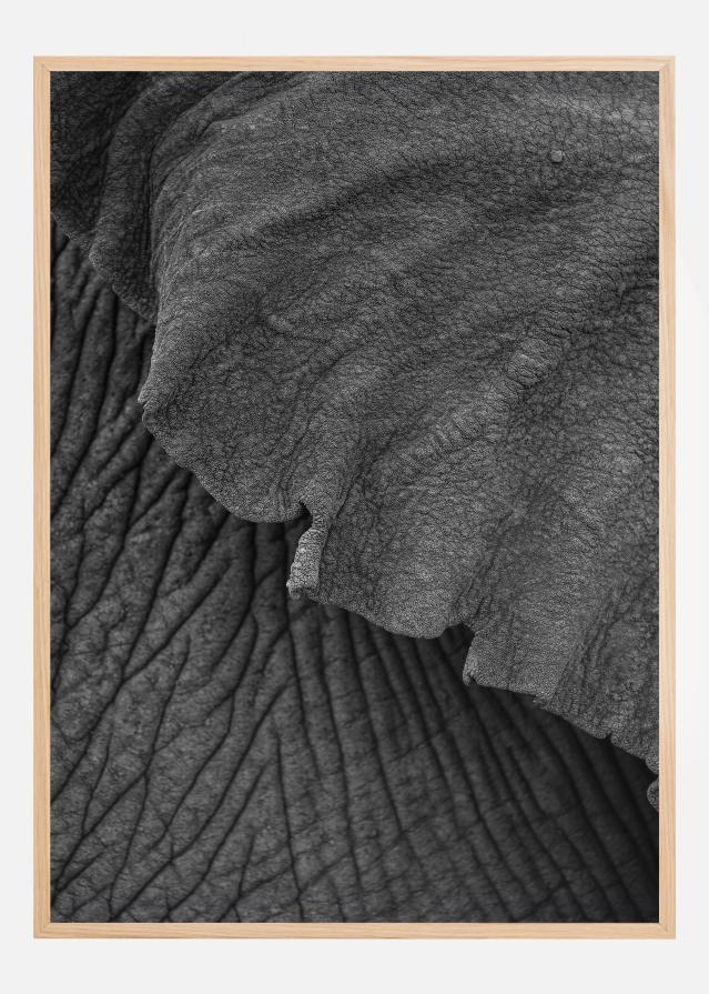 Olifant 02 Plakat