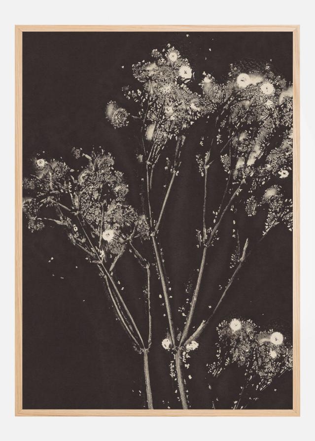 Floral Whispers Plakat