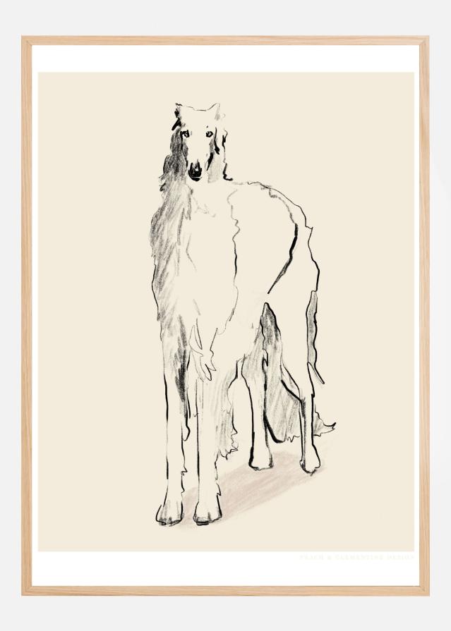 Borzoi Russian Wolfhound Pandc Plakat