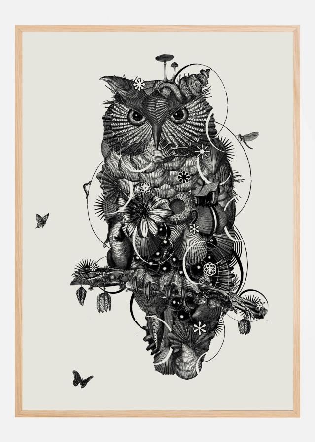 Owl Plakat