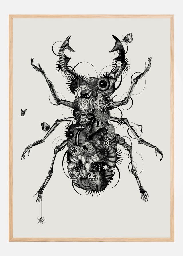 Stagbeetle Plakat