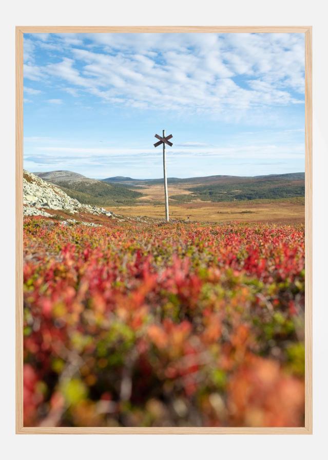 Summer ridge waypoint Plakat