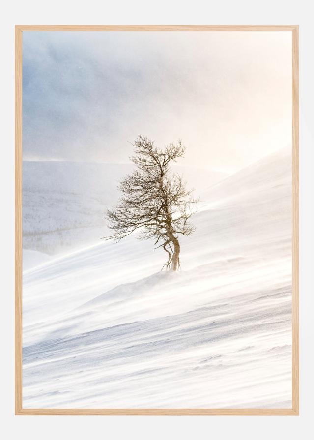 Tree of the frozen wind Plakat