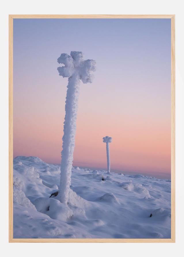 Winter blossoms Plakat