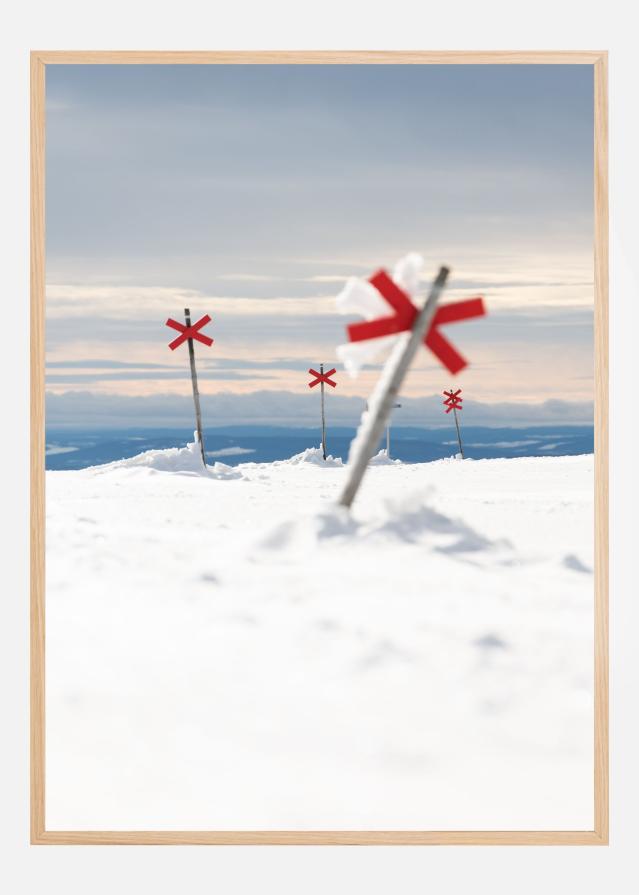 Red signs in the silence Plakat