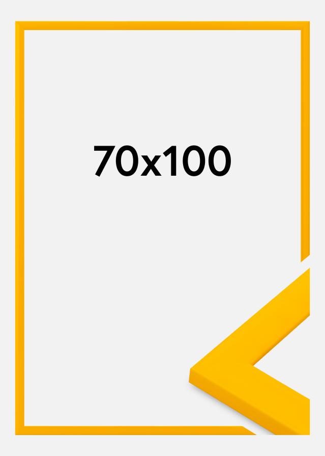 Ramme Dorset Akrylglass Gull 70x100 cm