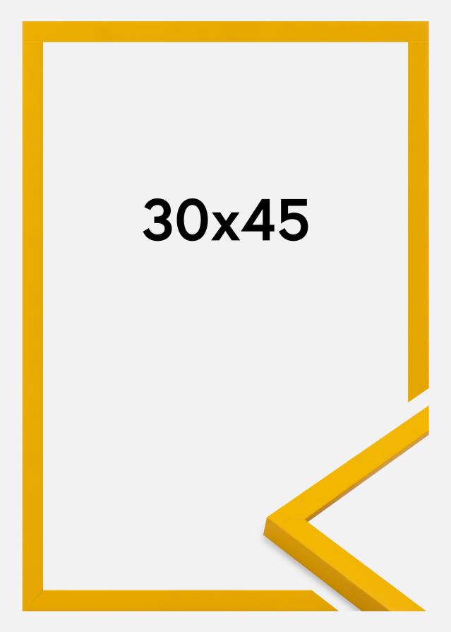 Ramme Kent Akrylglass Gull 30x45 cm