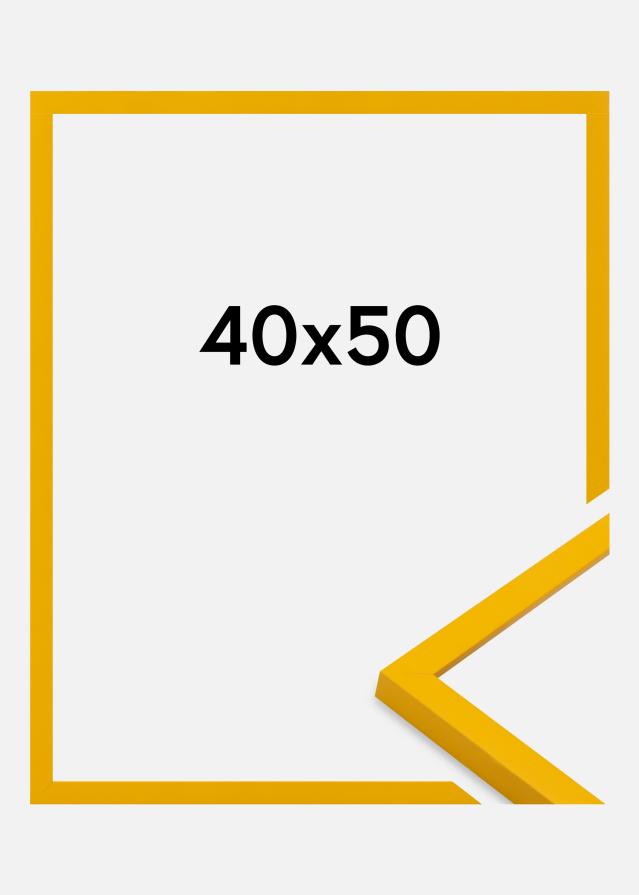 Ramme Kent Akrylglass Gull 40x50 cm