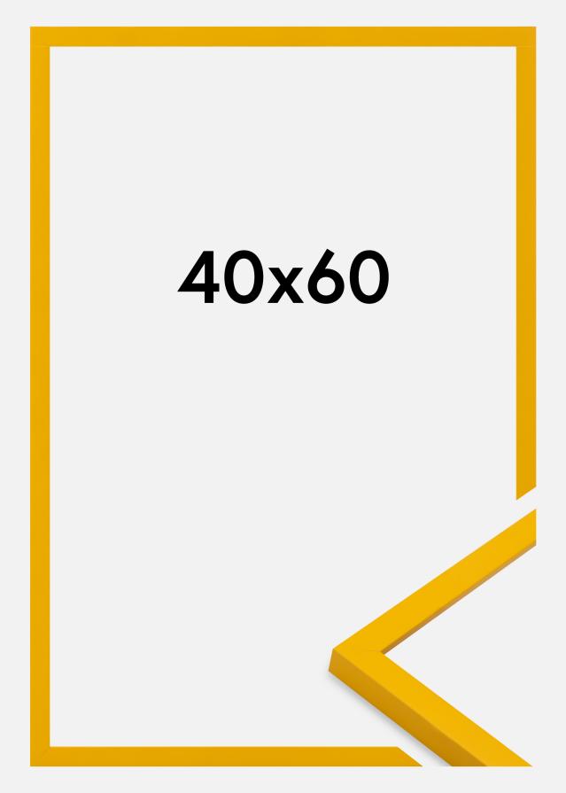 Ramme Kent Akrylglass Gull 40x60 cm