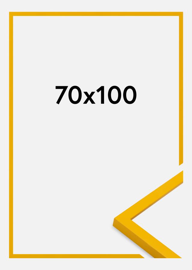 Ramme Kent Akrylglass Gull 70x100 cm