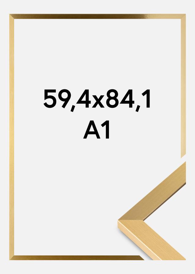 Ramme Selection Akrylglass Gull 59,4x84,1 cm (A1)