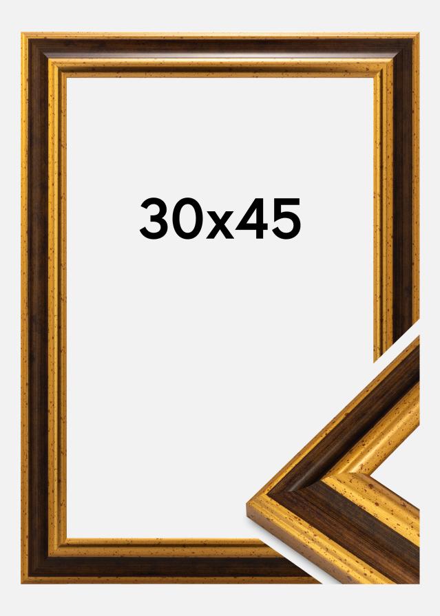 Ramme Aberystwyth Akrylglass Gull 30x45 cm