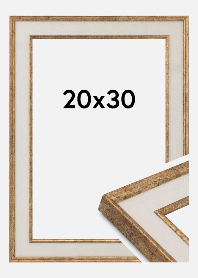 Ramme Dolly Akrylglass Gull 20x30 cm